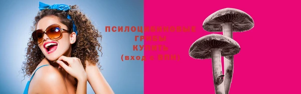 МДПВ Каменка