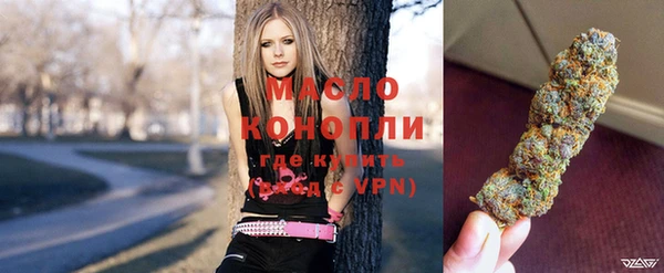 МДПВ Каменка